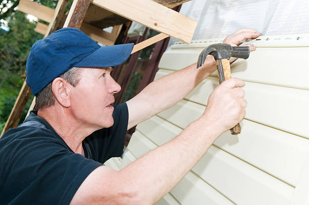Best Custom Siding Design  in Augusta, AR