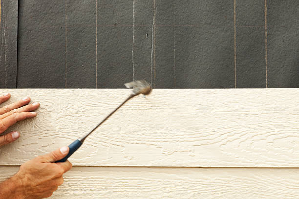 Best Vinyl Siding Installation  in Augusta, AR